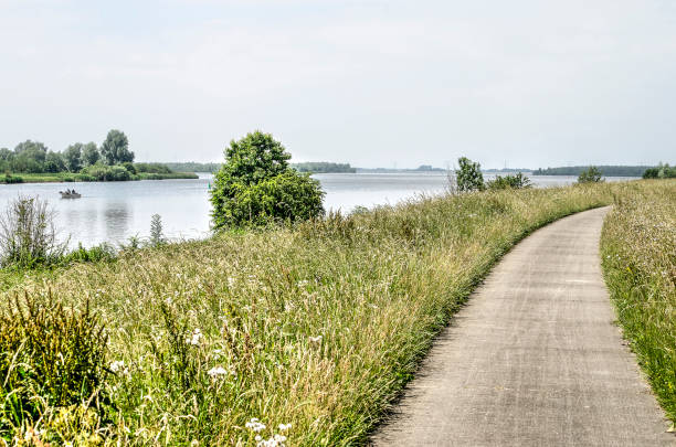 istock Bike path in the IJssel delta 982437104