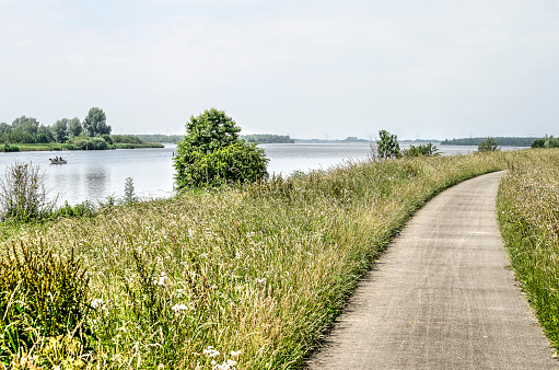 Narrow concrete bicycle path on Kampereiland in the delta of the river IJssel in the Netherlands
