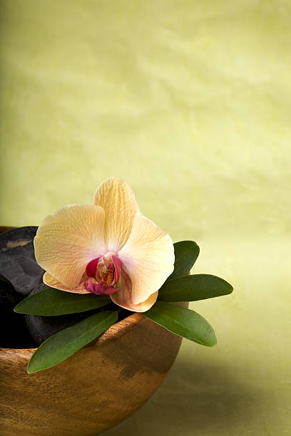 istock Bowl with smooth stones and flower at a spa 98243892