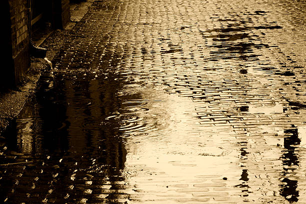 istock Golden days in old Chicago 98244225