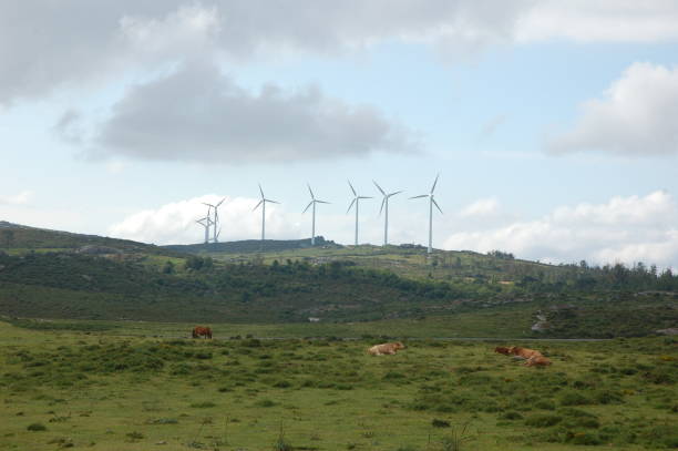 istock Windmills in the Forgoselo mountain 982443434