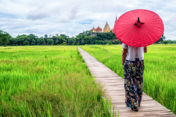 Woman traveller hiking Asian rice field landscape. Woman traveller hiking in Asian rice field landscape. Backpacking vacation in spring season. association of southeast asian nations photos stock pictures, royalty-free photos & images