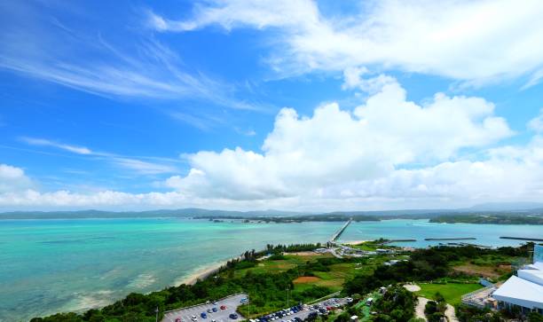 istock Beautiful sunny day blue sky and white cloud view with fresh green tree and grass and clear water in Japan Okinawa 982444288