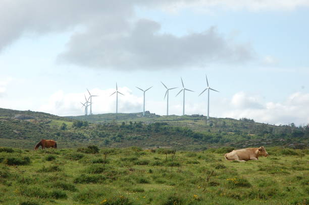 istock Windmills in the Forgoselo mountain 982444812