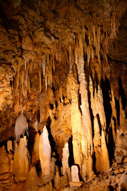 roche de stalactite caverne naturelle est suspendu au plafond des cavernes - geological feature cave sedimentary rock limestone photos et images de collection