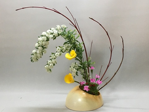 Ikebana in April.\nThe white flowers of the Coedemari tree bloom and it hangs.\nIt is an Ikebana which emphasizes roundness, using round objects in flower vases. The branches of the red coralroe are rounded by  my hand  to matched the roundness of the theme. \nYellow of color flower and thin pink of Nadeshiko are accompanied by Springlike color.\nIkebana is a traditional Japanese culture.