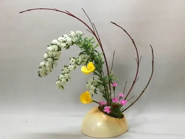 Ikebana in April.
The white flowers of the Coedemari tree bloom and it hangs.
It is an Ikebana which emphasizes roundness, using round objects in flower vases. The branches of the red coralroe are rounded by  my hand  to matched the roundness of the theme. 
Yellow of color flower and thin pink of Nadeshiko are accompanied by Springlike color.
Ikebana is a traditional Japanese culture.