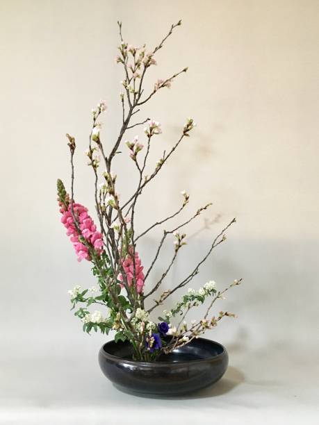 istock Ikebana 01-5 