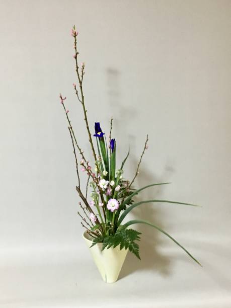 istock Ikebana 01-6 