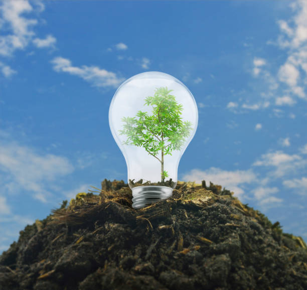 istock Ecological power and energy concept 982450248