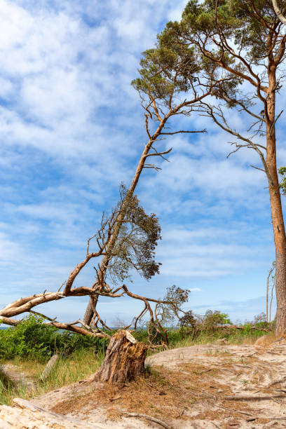 istock View from the beach to the sea 982457308