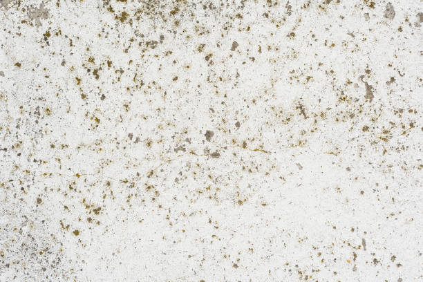 istock Wall fragment with scratches and cracks 982457996