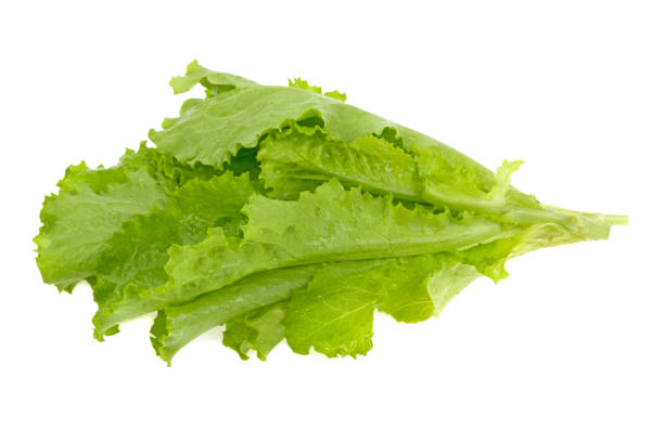 istock green salad leaves on white background 982464918