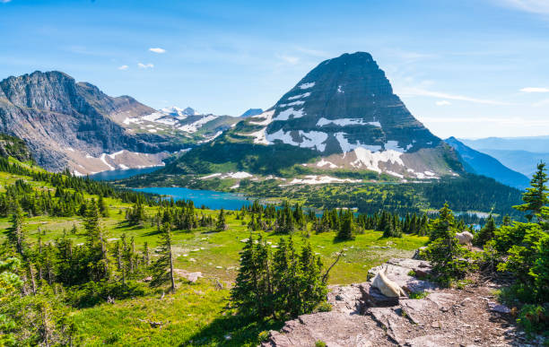 logan pass trail in glacier national park on sunny day,montana,usa. - mount grinnel imagens e fotografias de stock