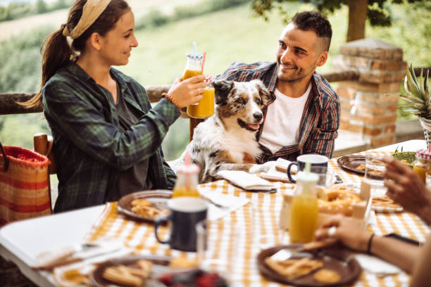istock friends doing a lunch in the farm villa 982491226