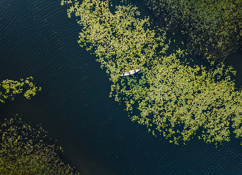 Aerial View of a Couple Canoeing on the Lake