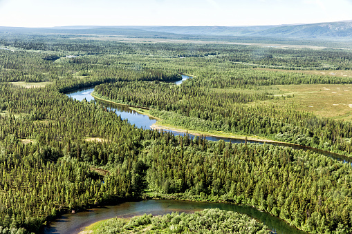 Northern landscape. Endless forests. Exclusion of the river. Impenetrable swamps in the north