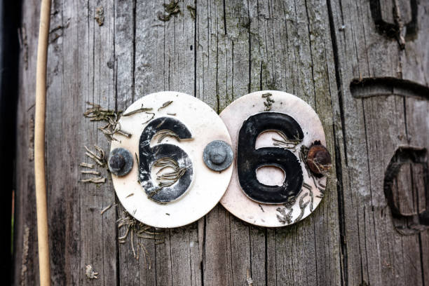 istock Written Wording in Distressed State Typography Found Number 66 Sixty Six 982498406