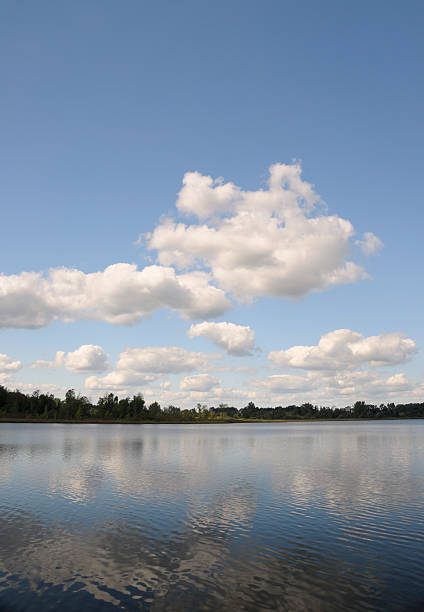 istock Serene Michigan Lake in Summer 98250131