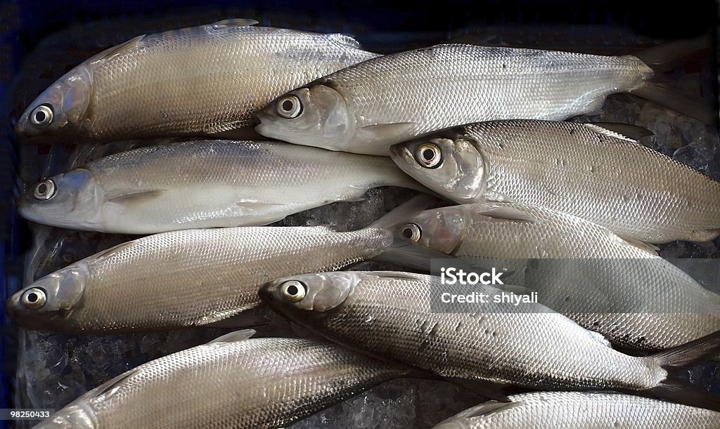 Fischmarkt in Taiwan - Lizenzfrei Ausverkauf Stock-Foto