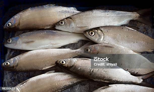 Fischmarkt In Taiwan Stockfoto und mehr Bilder von Ausverkauf - Ausverkauf, Einzelhandel - Konsum, Farbbild