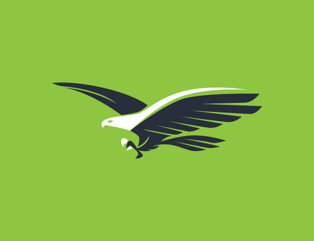 latający symbol orła - eagles stock illustrations