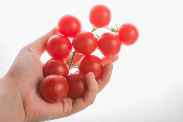 istock Bunch of red ripe  cherry tomatos in hand 982518490