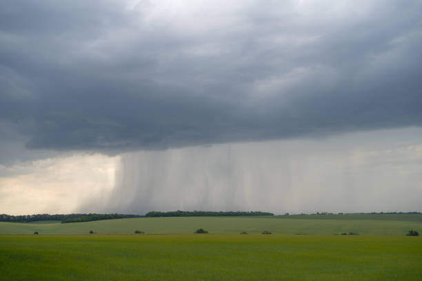 istock Podolia region, Ukraine. Landscape with dramatic clouds over agricultural field 982518864