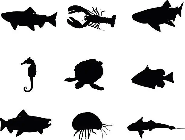 Vector illustration of Creatures that live in the sea