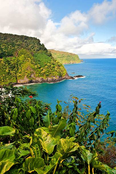 maui, hawai, la costa de hana - hana fotografías e imágenes de stock