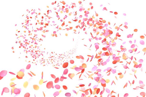 Colorful Flower Petals
