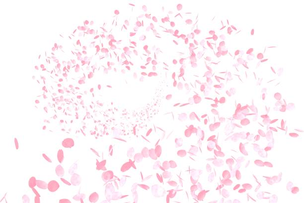 istock Pink Flower Petals, Cherry Blossoms 982538622