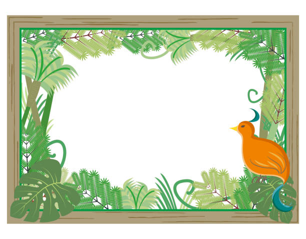 ilustrações de stock, clip art, desenhos animados e ícones de jungle frame with wild bird - fern forest ivy leaf