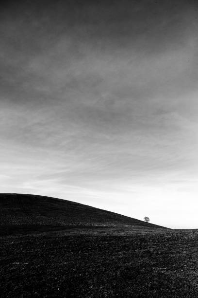 istock A distant, lonely tree on a bare hill, beneath a big sky with white clouds 982540688