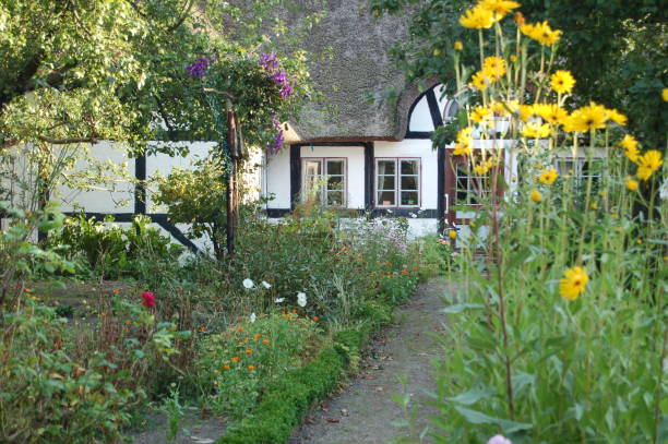 istock Cottage behind flowers 982549382