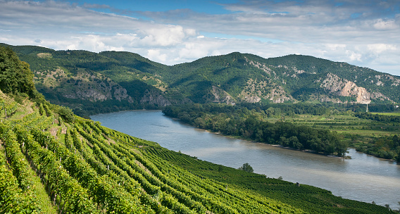 View to the famous Danube Valley - photographed from 