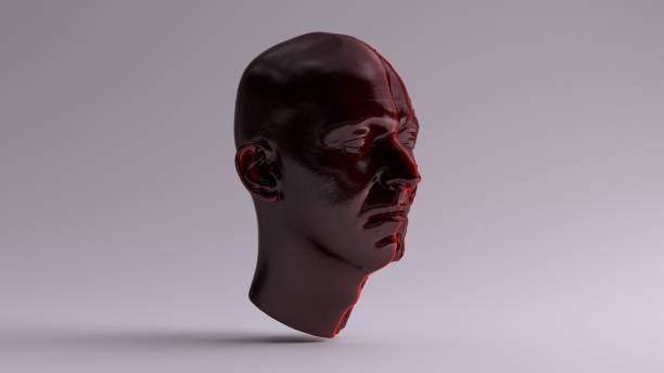 istock Red Transparent Anatomical Ecorche Human Head 982565026