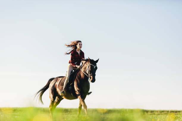 istock Young girl dressed casually riding a horse. 982565252