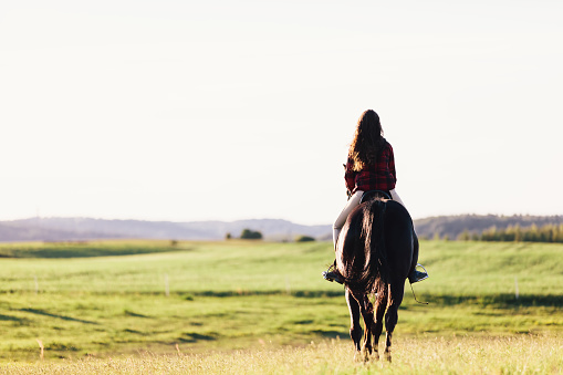 Young girl sitting on a bay horse, riding on the grass field. Animals and nature.