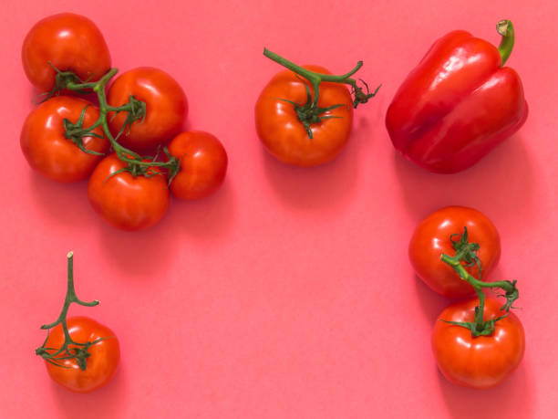 istock Red tomatoes on a branch on a pink background with blank space for text. Flat lay. Top view. Copy space. 982575190