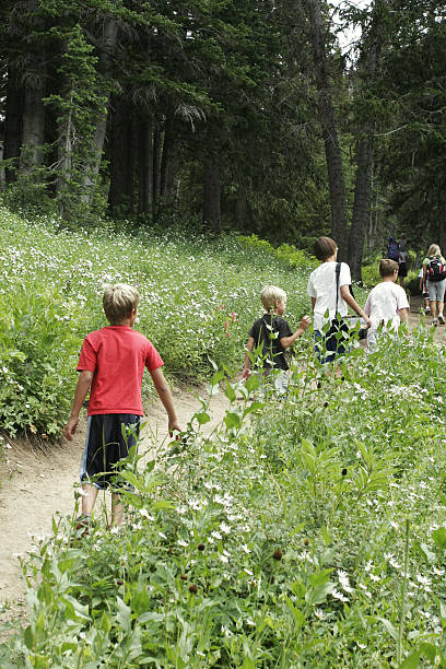 istock Children walking in the countryside 98258914