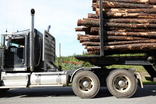 Close up of a semi truck in rural Georgia, carrying a full load of pine tree logs, on it\