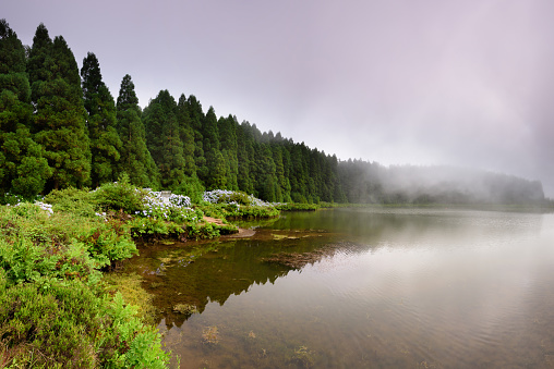 Panoramic landscape from Azores lagoons. The Azores archipelago has volcanic origin and the island of São Miguel has many lakes formed in craters of ancient volcanoes.
