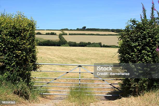 Photo libre de droit de Farmland banque d'images et plus d'images libres de droit de Agriculture - Agriculture, Angleterre, Bétail
