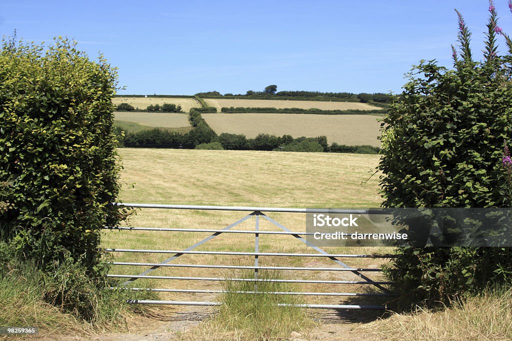 terreni agricoli - Foto stock royalty-free di Agricoltura