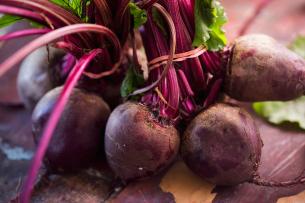 bunch of beetroots - table ingredient gardening agriculture imagens e fotografias de stock