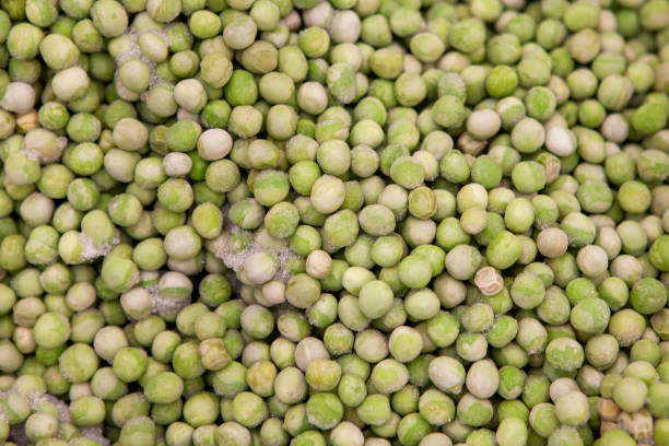 Semi-finished products. Frozen food. Green pea.