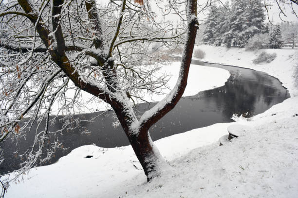 istock river turn in winter, winter landscape 982635934