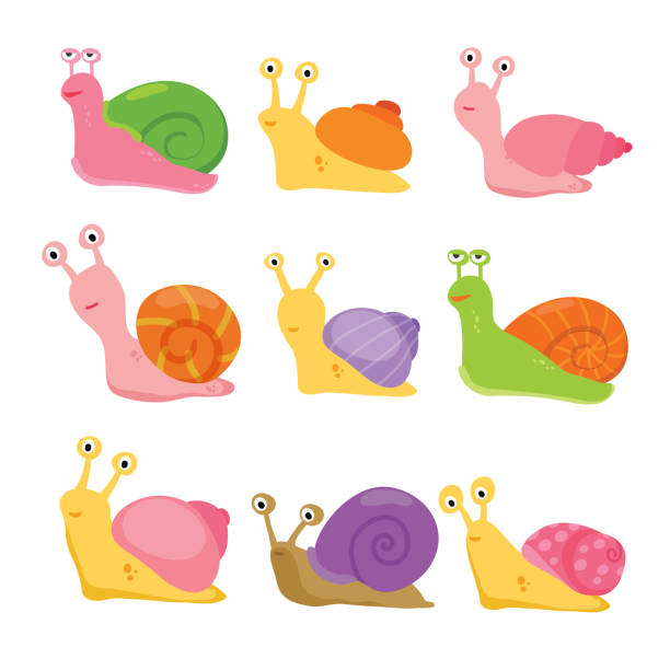 ilustrações, clipart, desenhos animados e ícones de projeto de coleção de vetor de caracol - remote shell snail isolated