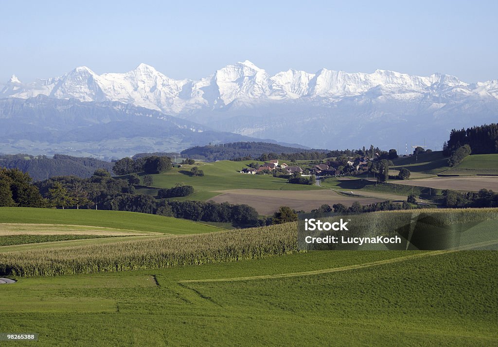 Green Felder mit Eiger, Mönch und Jungfrau im Bamboo - Lizenzfrei Alpen Stock-Foto
